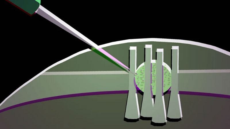 科学家将液晶滴制成柔性光学晶体管，用于未来的光子芯片