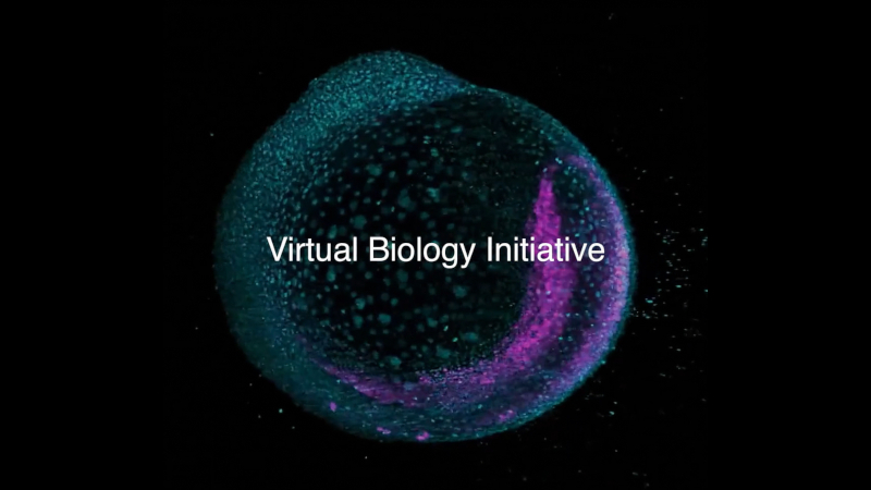 马克·扎克伯格的 Biohub 正在加速治疗所有疾病，利用 AI 细胞模型。