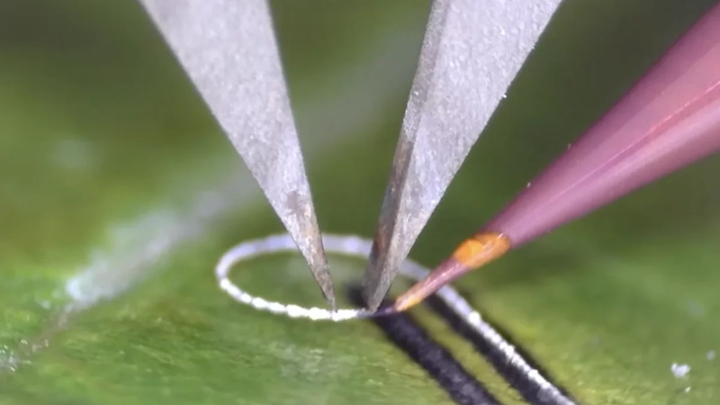 工程师们开发了一种设备，能够在活组织和医疗植入物上无损地贴装电子元件