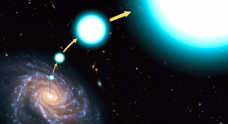 大规模首次对异常星体的分析改变了我们对其形成机制的理解